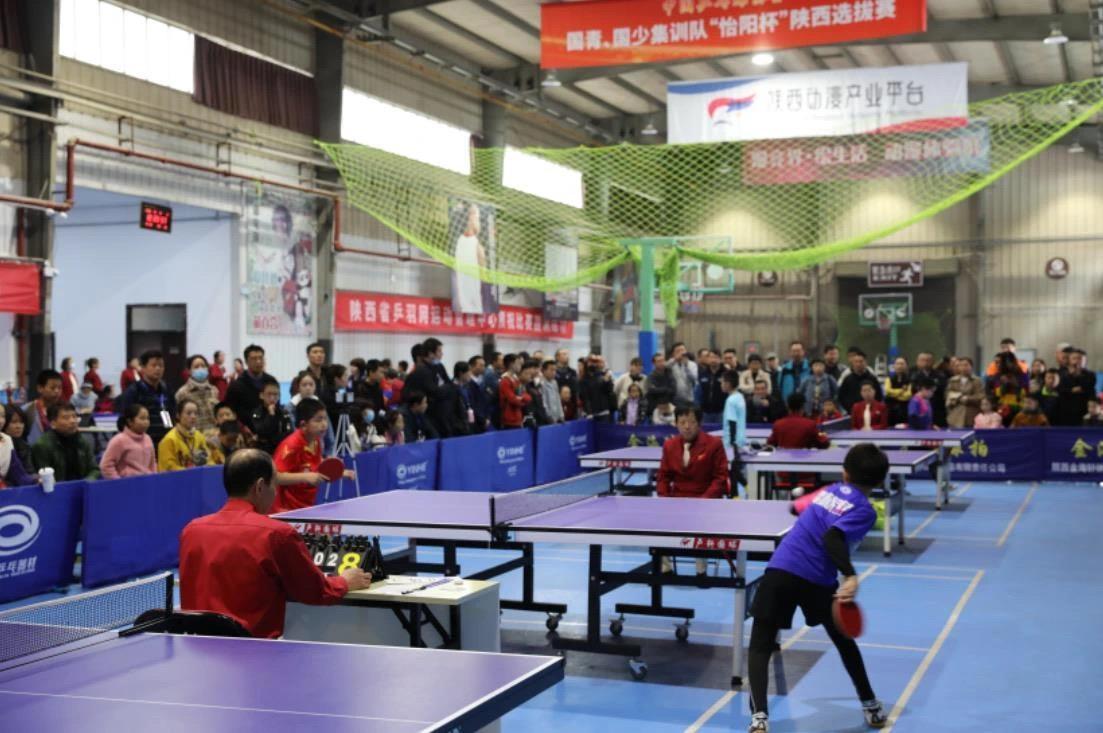 未来展望 未来展望